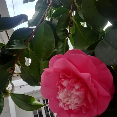 L'intemporelle Couette-café 3*