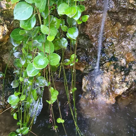 Panzió L'intemporelle Bagnères-de-Bigorre