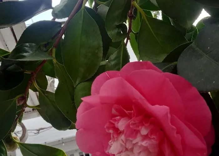 L'intemporelle Panzió 3*